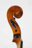 Violine im Etui