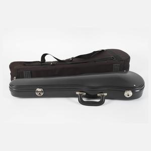 Violine im Etui