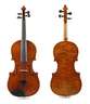 Violine im Etui