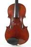Violine im Etui