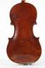 Violine im Etui