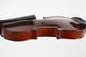 Violine im Etui