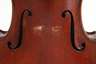 Violine im Etui