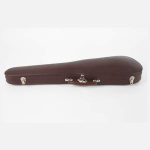 Violine im Etui