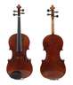 Violine im Etui