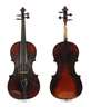 Violine im Etui