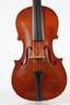 Violine im Etui