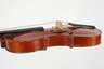 Violine im Etui