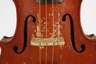 Violine im Etui
