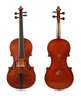 Violine im Etui