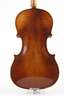 Violine im Etui
