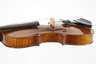 Violine im Etui