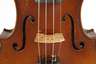 Violine im Etui