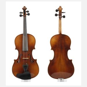 Violine im Etui