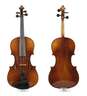 Violine im Etui