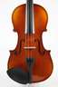 Violine im Etui