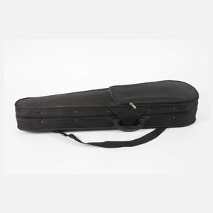 Violine im Etui