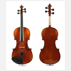 Violine im Etui