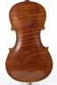 Violine im Etui