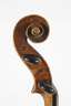 Violine im Etui