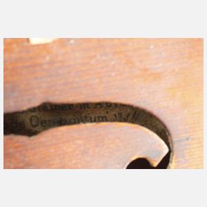 Violine im Etui