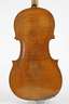 Violine im Etui