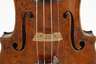 Violine im Etui
