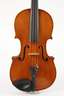 Violine im Etui