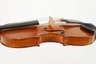 Violine im Etui