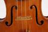 Violine im Etui