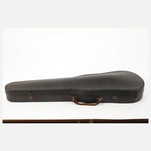 Violine im Etui