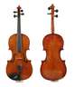 Violine im Etui