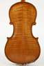 Violine im Etui