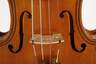 Violine im Etui