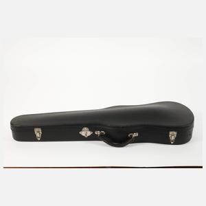 Violine im Etui