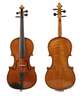 Violine im Etui
