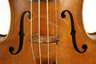 Violine im Etui