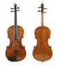 Violine im Etui