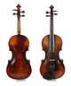 Violine im Etui