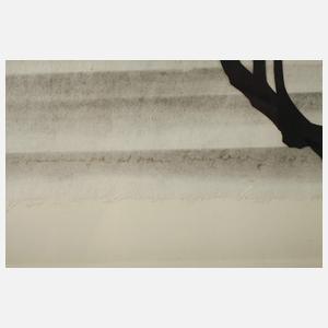 Collage mit Landschaftsmotiv