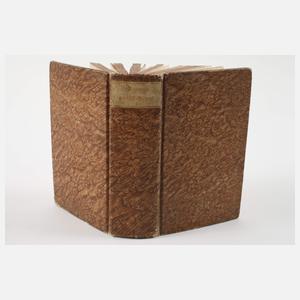 Anleitung zum gerichtlichen Proceß