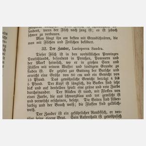 Der praktische Angler