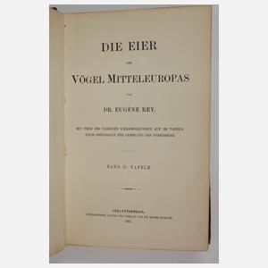 Die Eier der Vögel Mitteleuropas