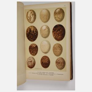 Die Eier der Vögel Mitteleuropas