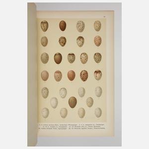 Die Eier der Vögel Mitteleuropas