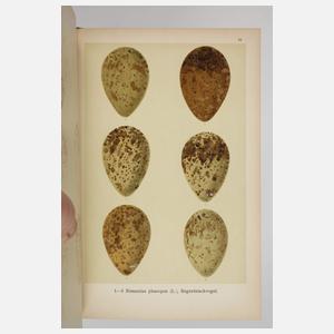 Die Eier der Vögel Mitteleuropas