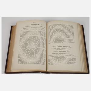 Die Eier der Vögel Mitteleuropas