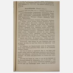 Die Eier der Vögel Mitteleuropas