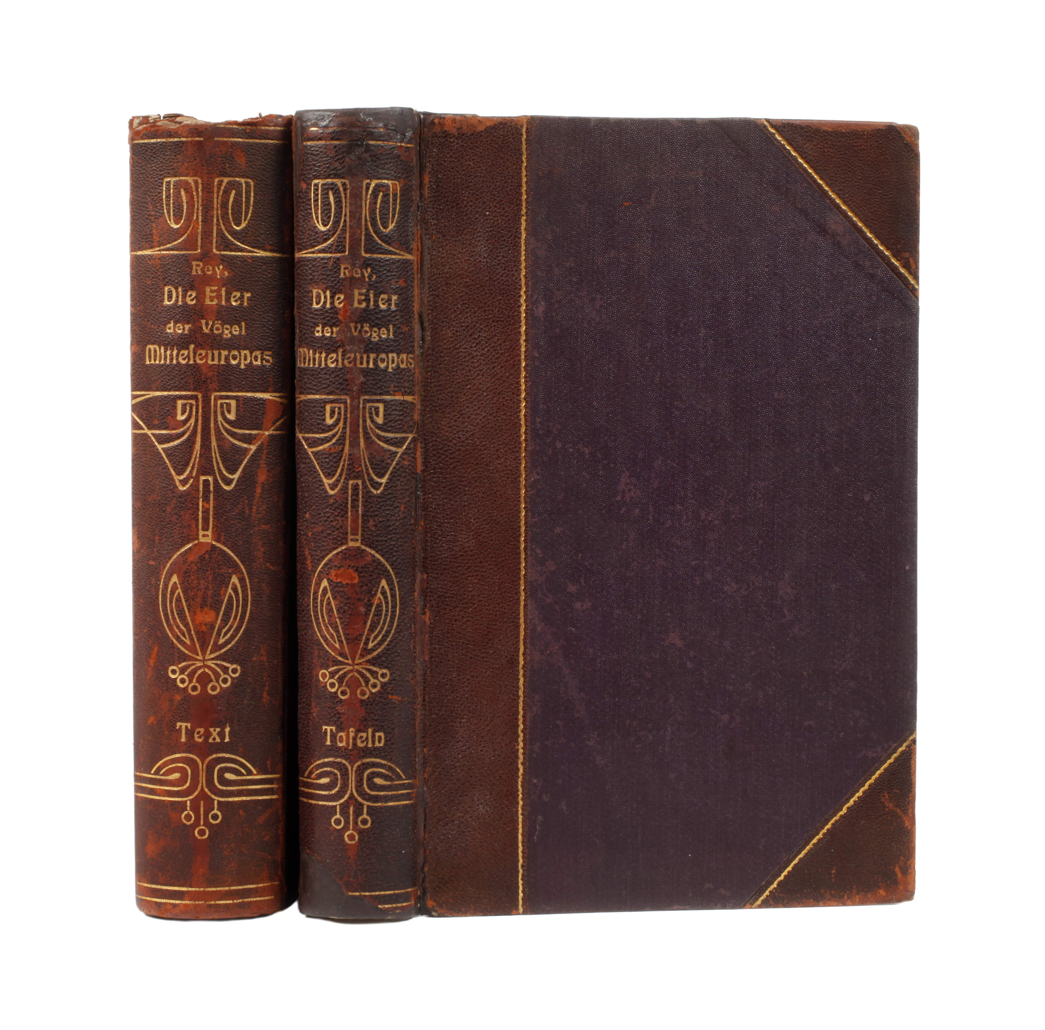 Die Eier der Vögel Mitteleuropas