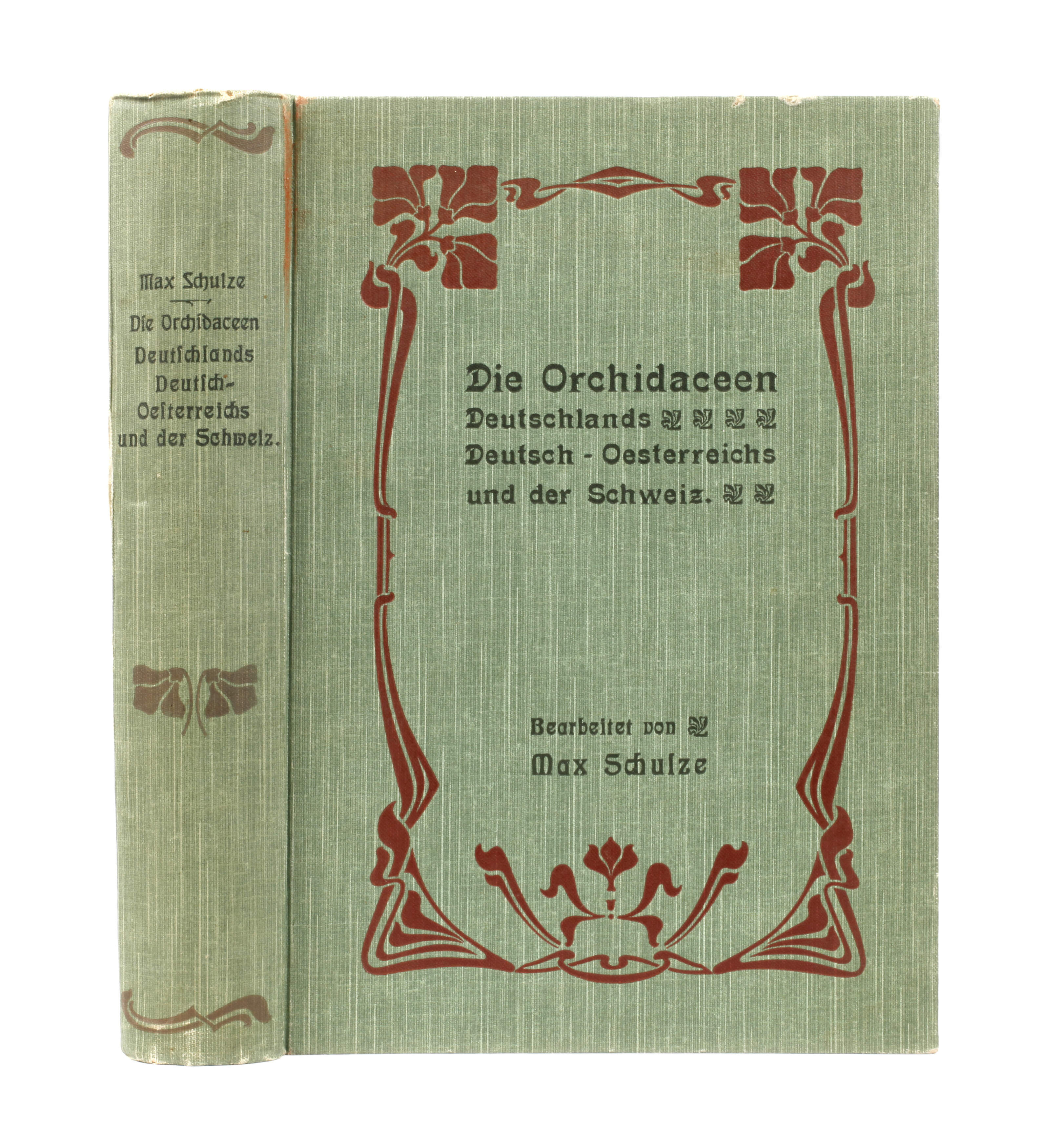 Die Orchidaceen Deutschlands